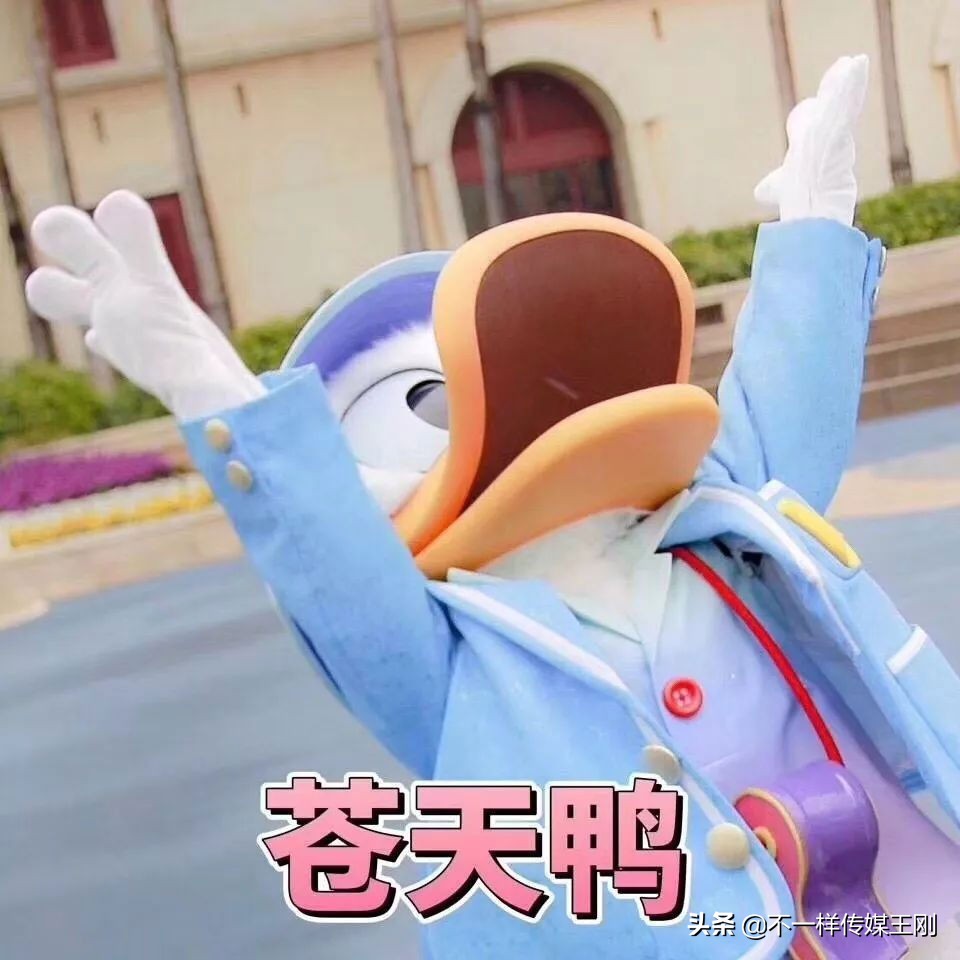 爆款内容营销方案该如何打造？（附7案例）