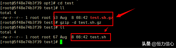 Linux解压缩tar.gz、zip、rar等6种常见文件（实践整理）