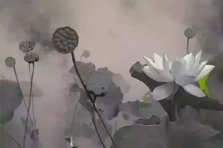 告诉孩子，什么是荷花定律（深度好文）