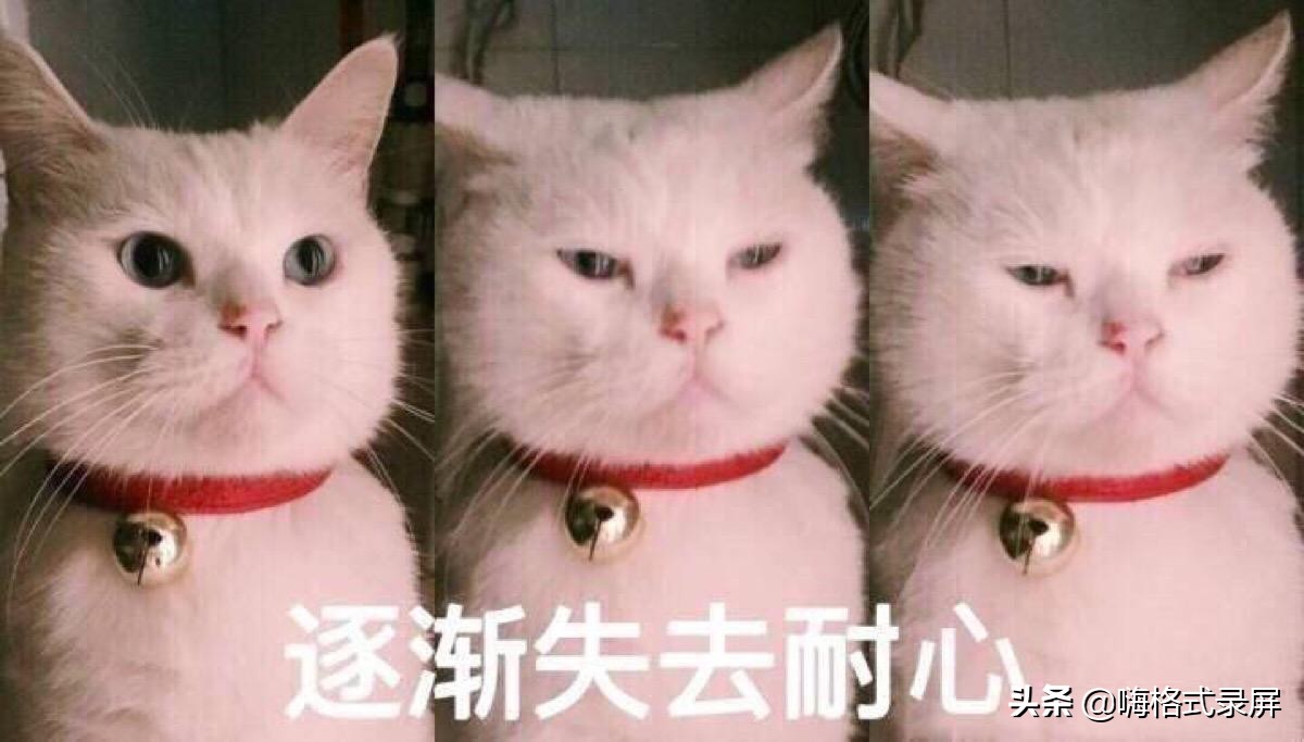 电脑录屏怎么录？三款屏幕录制软件，各取所需
