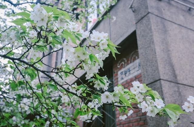 西安，最佳旅行时间表来了，建议收藏