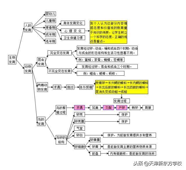 初中生物知识点梳理——思维导图，清晰得不要不要的！