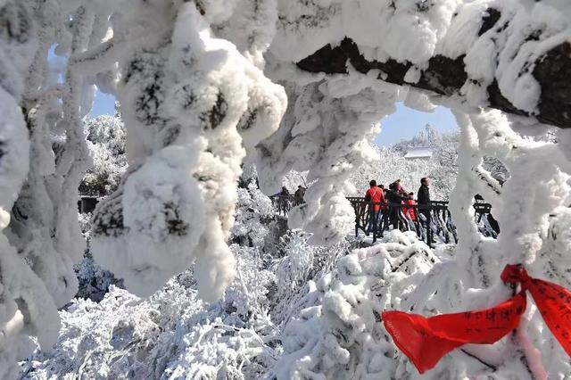 旅游公司如何进行线上网络推广