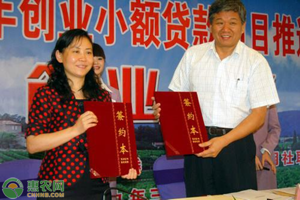 农村创业贷款怎么申请？申请贷款流程是怎样的？