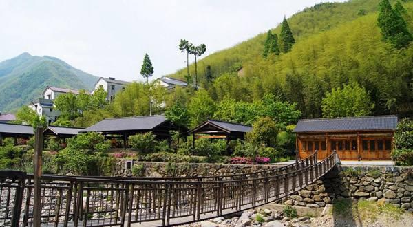 返乡创业大潮高涨，选对项目是关键，推荐五大农村创业好项目