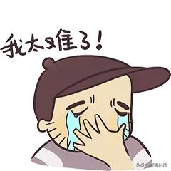 新品发布会开始！苹果上架多款新品