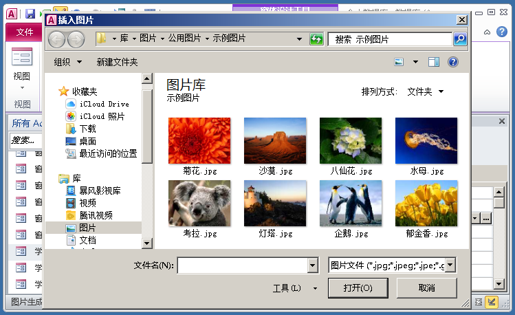 Access数据库窗体设计实例