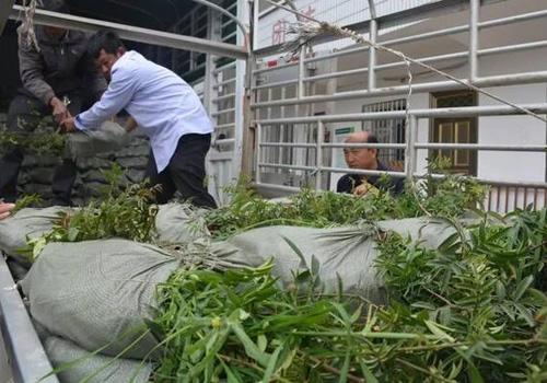农村这4个创业不起眼，但任意一个都比打工赚得多