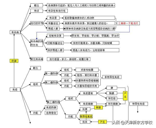 初中生物知识点梳理——思维导图，清晰得不要不要的！