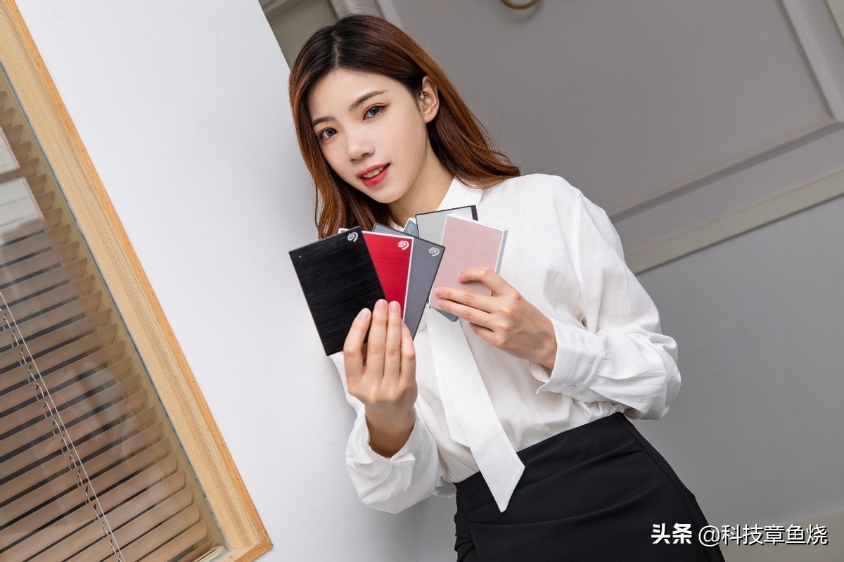 选购移动硬盘，这款希捷铭系列加密满足你的颜值控