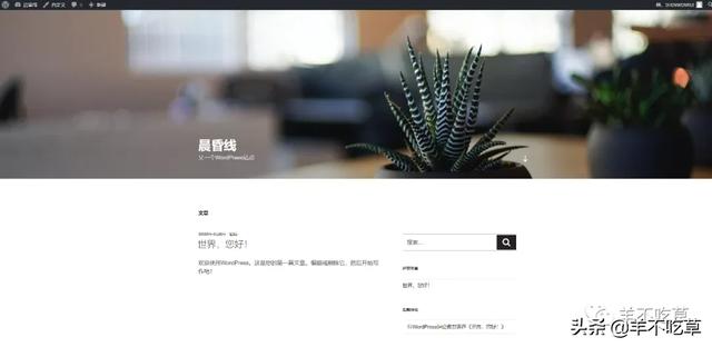 如何建立自己得网站（零基础小白教程）
