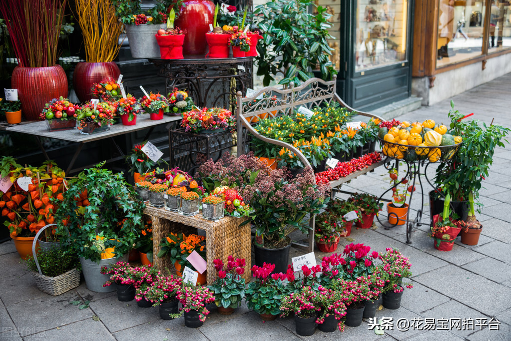 想开花店吗？首先你要知道花店的类型与特点