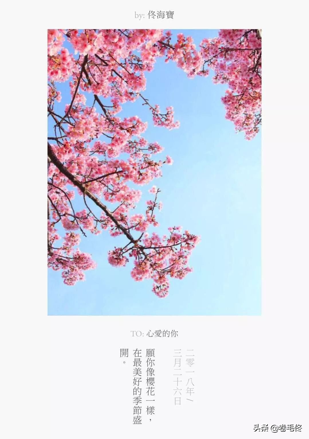 给照片加文字，我推荐这几款实用的APP