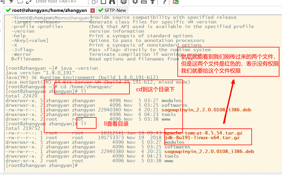 Linux中安装 jdk 和 tomcat（全网最详细）