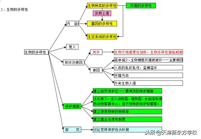 初中生物知识点梳理——思维导图，清晰得不要不要的！