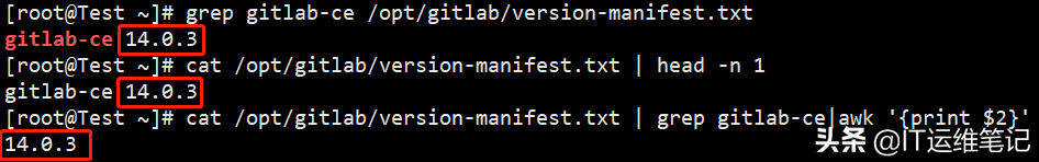 Linux下GitLab版本的查询方法