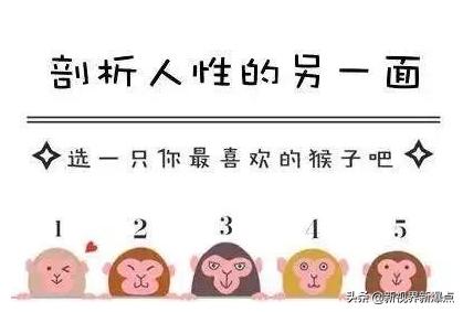 在家操作就能赚钱的偏门项目分享，心理测试项目
