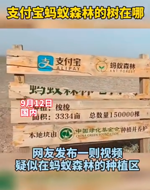 马云承诺每年种1亿棵树，五年过去了，这些树都怎么样了？