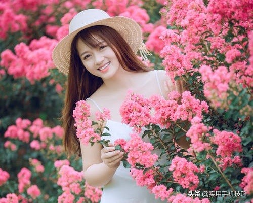 还不会将手机拍的照片做成视频？这里快速教你制作电子相册