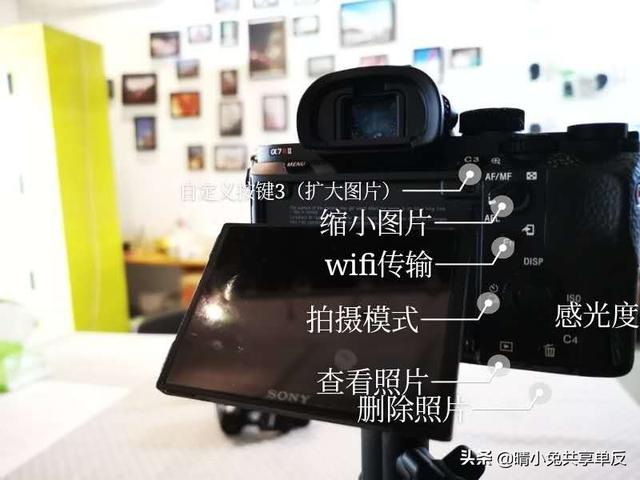 索尼A7R2配佳能2470镜头