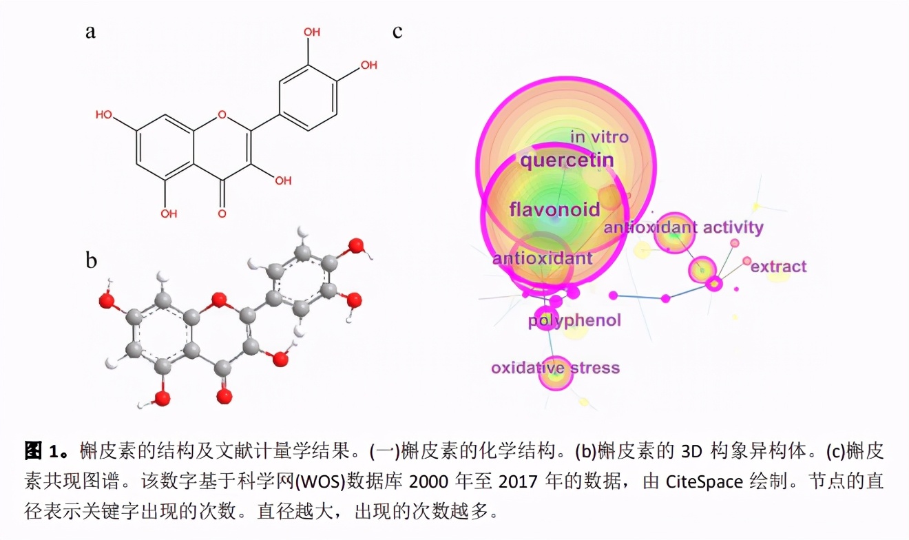 免费好用的全文PDF翻译工具，推荐给你