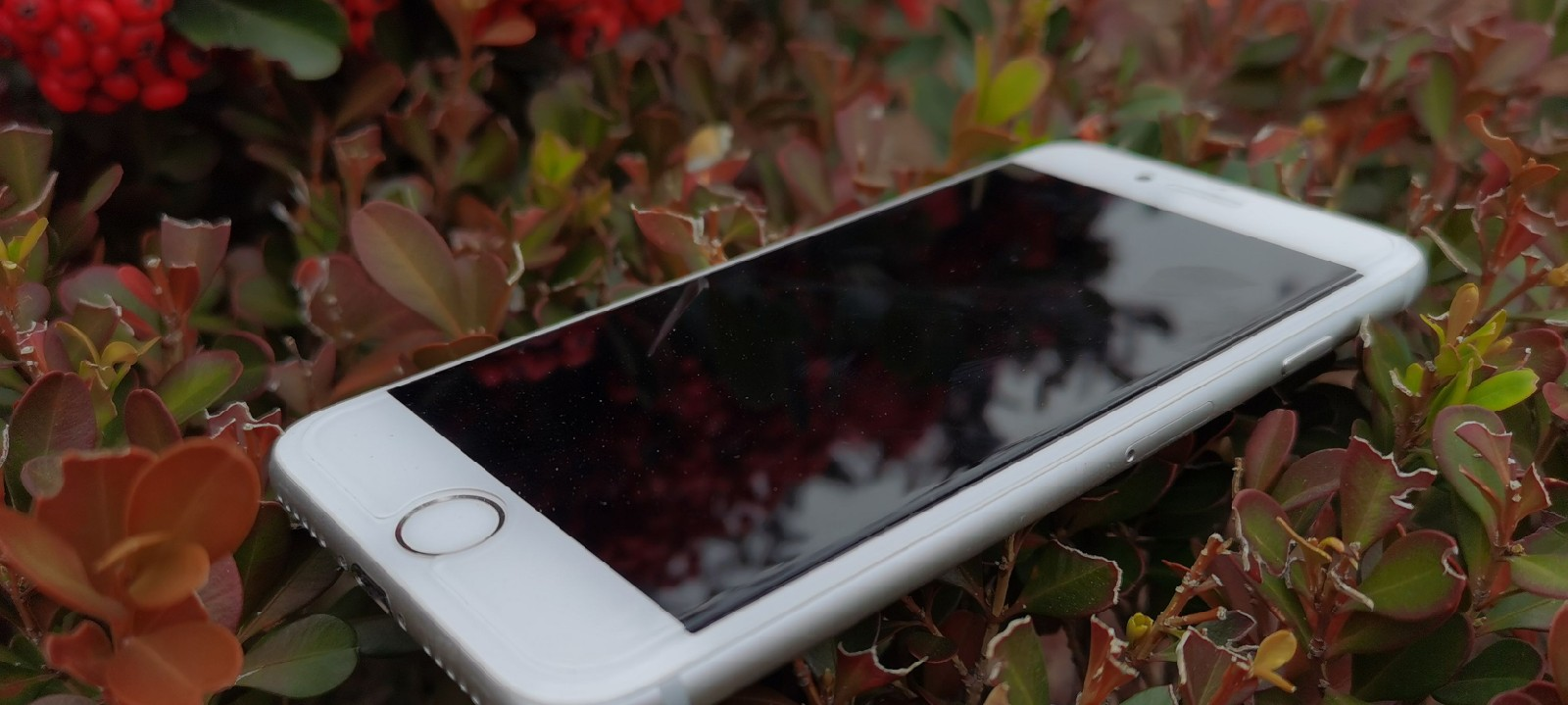来自2021年的iPhone7不完全使用体验