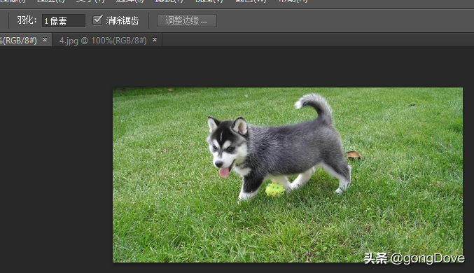 通过Photoshop将两张图片合成一张
