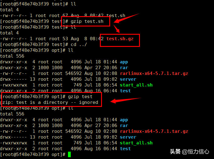 Linux解压缩tar.gz、zip、rar等6种常见文件（实践整理）