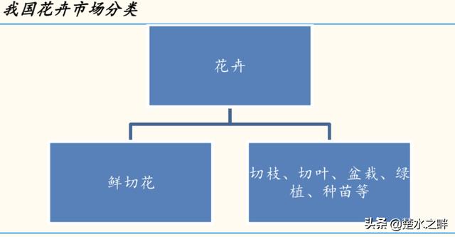 2019鲜花电商行业深度报告