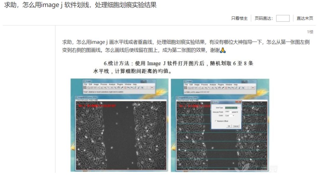 老司机带你解锁ImageJ划痕实验宽度分析