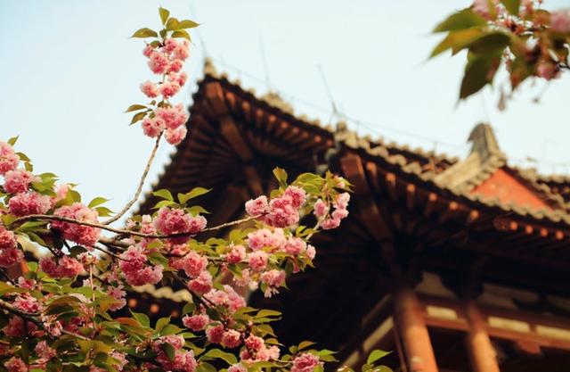 西安，最佳旅行时间表来了，建议收藏