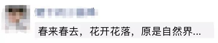 为什么你发的朋友圈不能完全显示，有人却能全部显示