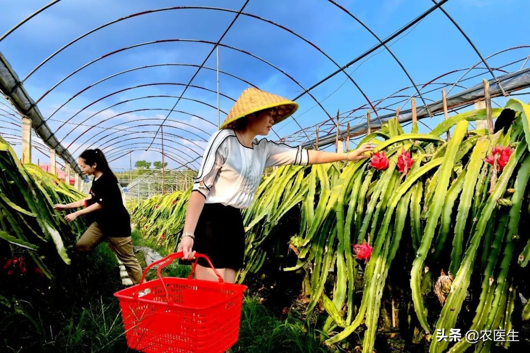 致富经：四招教你打造农业生态园