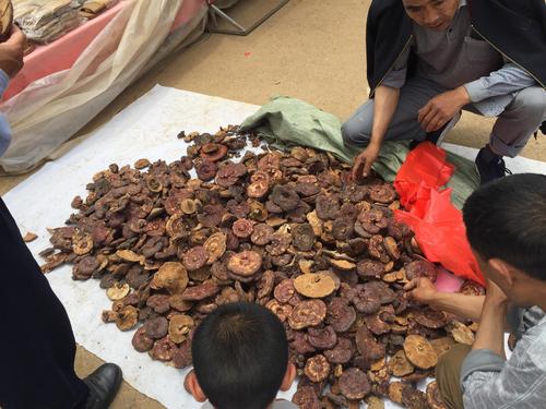 想赚钱你就来，这些你不了解的赚钱项目，的确很赚钱