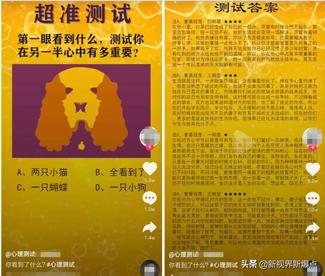 在家操作就能赚钱的偏门项目分享，心理测试项目