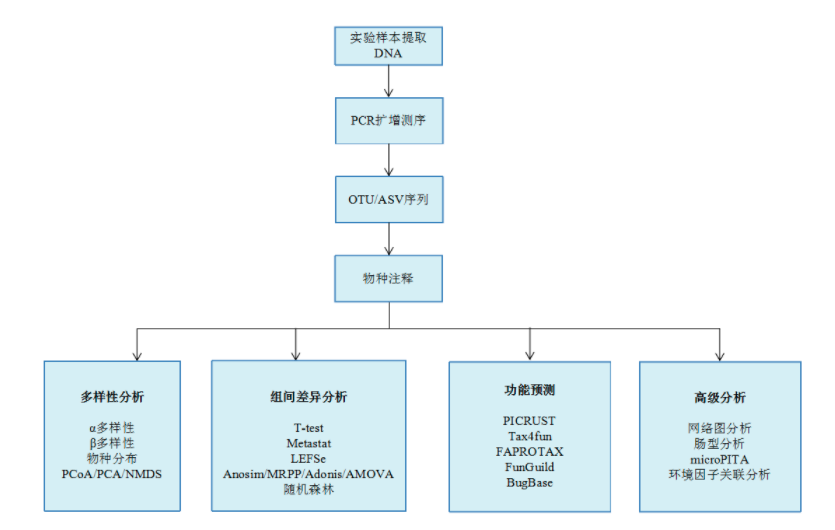 16S rRNA高通量测序技术有助于微生物多样性研究