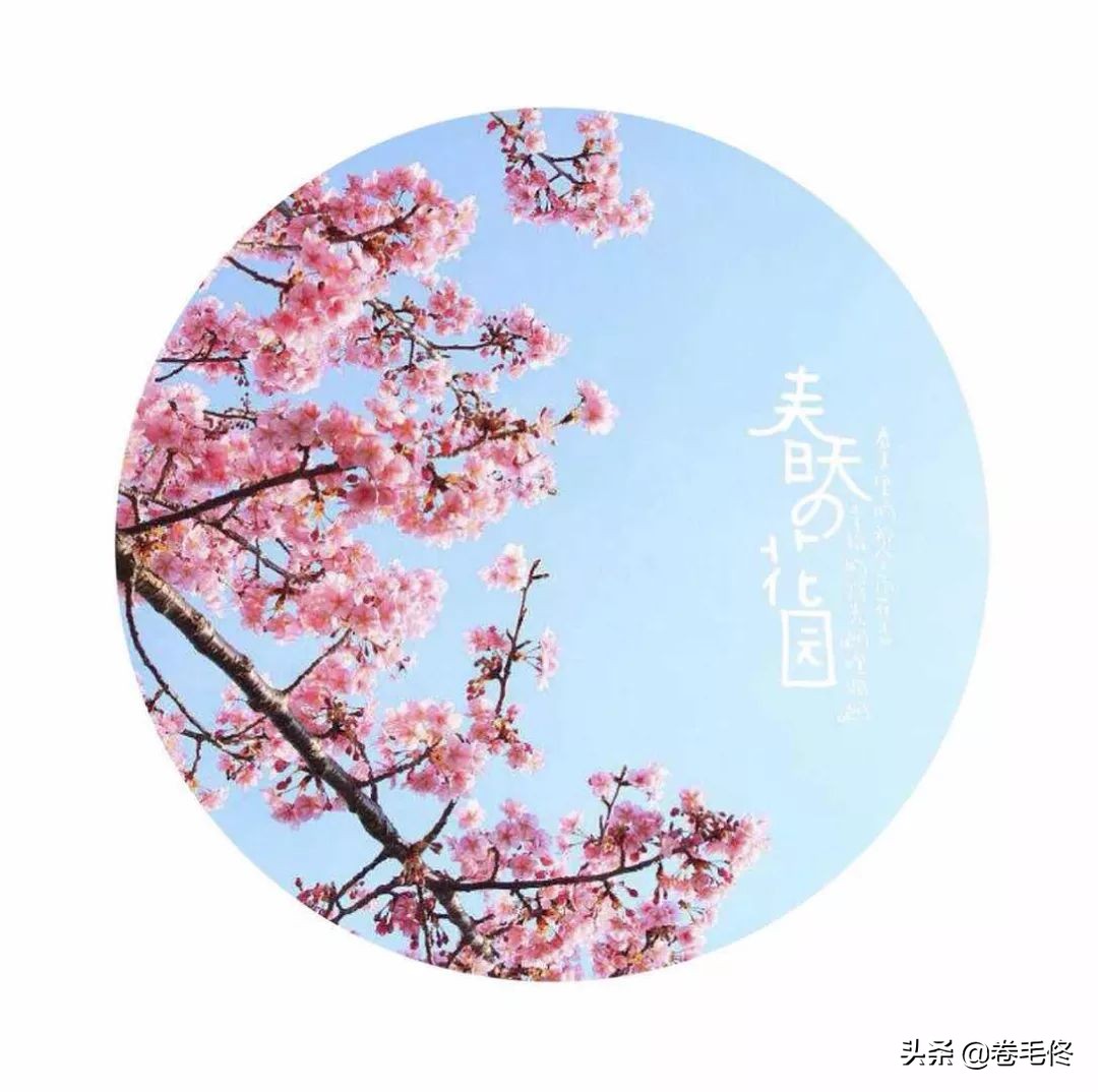 给照片加文字，我推荐这几款实用的APP