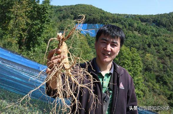淘宝卖家的故事：三十而立的他，为了梦想放弃铁饭碗在淘宝创业
