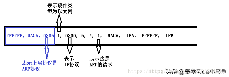 MAC地址；地址解析协议（ARP）；以太网；链路层交换机