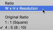 在Photoshop CC中使用裁剪和调整照片大小