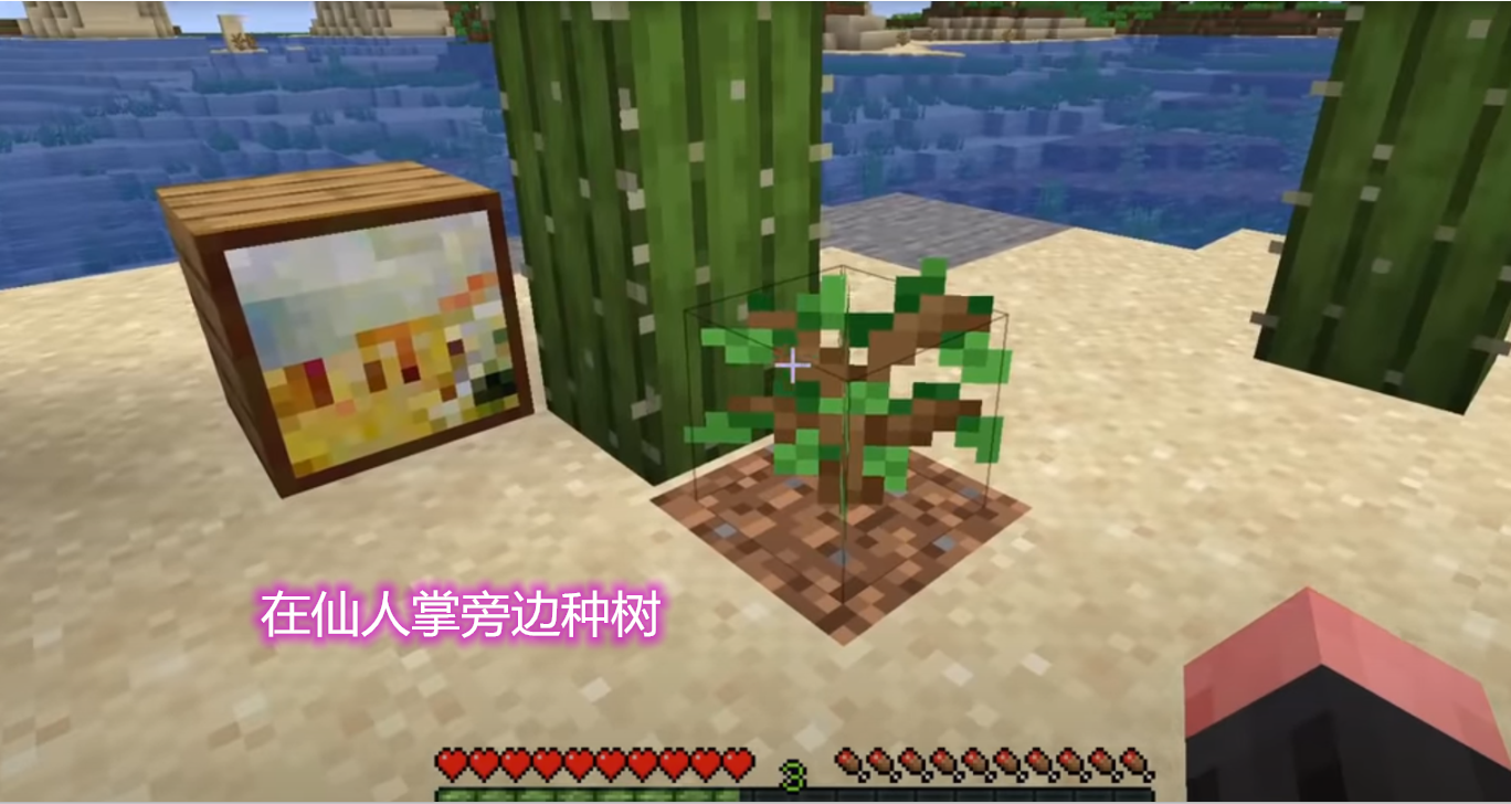 我的世界：仙人掌能够在水中生长？各个版本伤害都有所不同