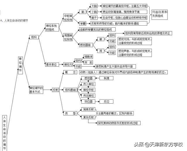 初中生物知识点梳理——思维导图，清晰得不要不要的！