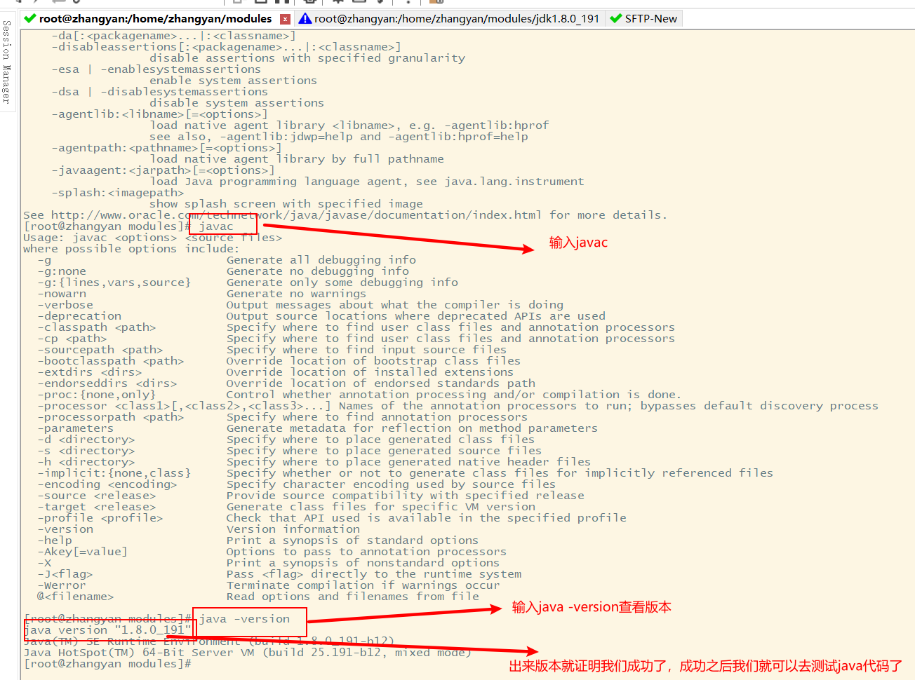 Linux中安装 jdk 和 tomcat（全网最详细）