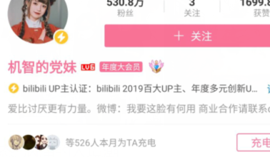 盘点B站各大UP主真实收入，看完怀疑人生！