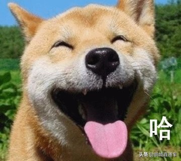 想摆地摊，卖点什么比较好？最全进货清单在这里