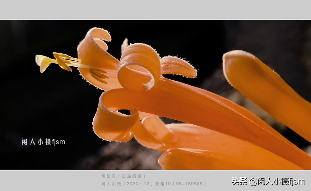 聊手机摄影1：说说手机三种照片分辨率，3:4，9:16，全屏的拍摄