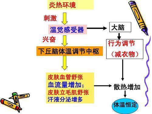 100℃的水和100℃的食用油，哪个更烫手些？