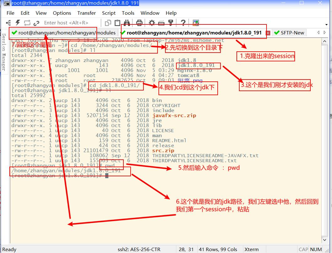 Linux中安装 jdk 和 tomcat（全网最详细）