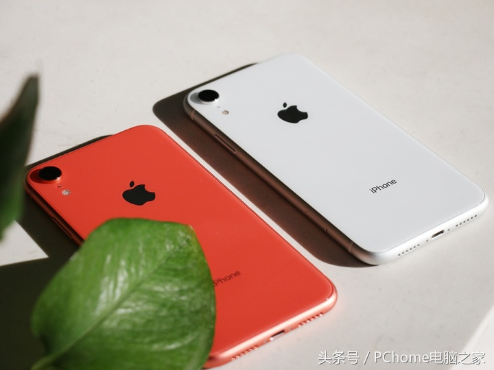 iPhone XR体验：火爆背后的市场必然