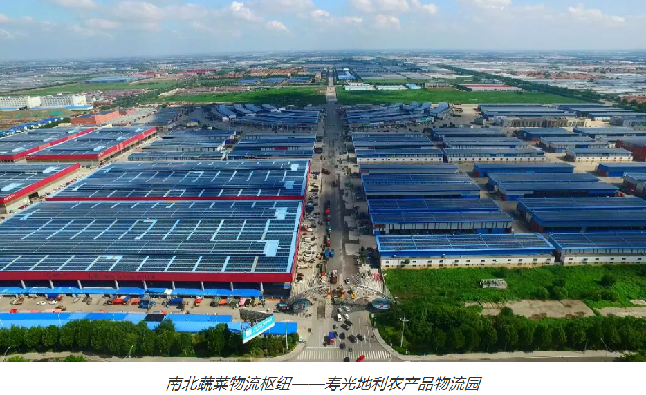 逆势突围——生鲜流通全产业链平台在“稳价保供”大考下优势凸显